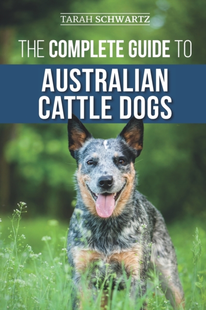 The Complete Guide to Australian Cattle Dogs : Finding, Training, Feeding, Exercising and Keeping Your ACD Active, Stimulated, and Happy, Paperback / softback Book