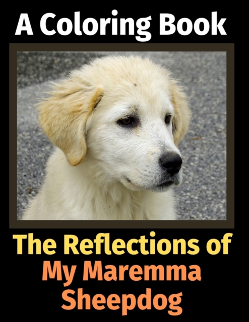 The Reflections of My Maremma Sheepdog : A Coloring Book, Paperback / softback Book