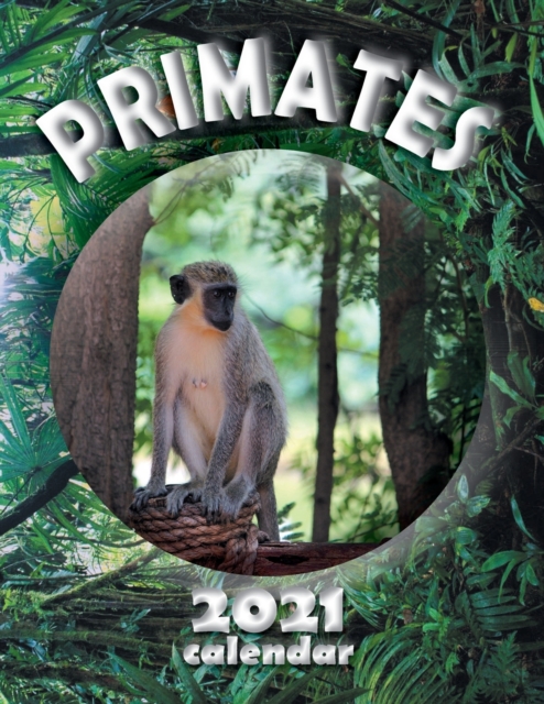 Primates 2021 Calendar, Paperback / softback Book