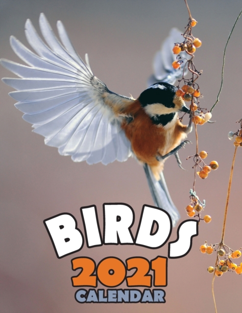 Birds 2021 Calendar, Paperback / softback Book