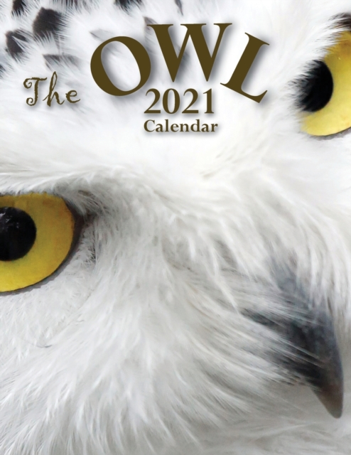 The Owl 2021 Calendar, Paperback / softback Book