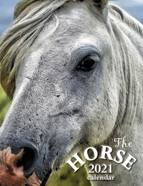 The Horse 2021 Calendar, Paperback / softback Book