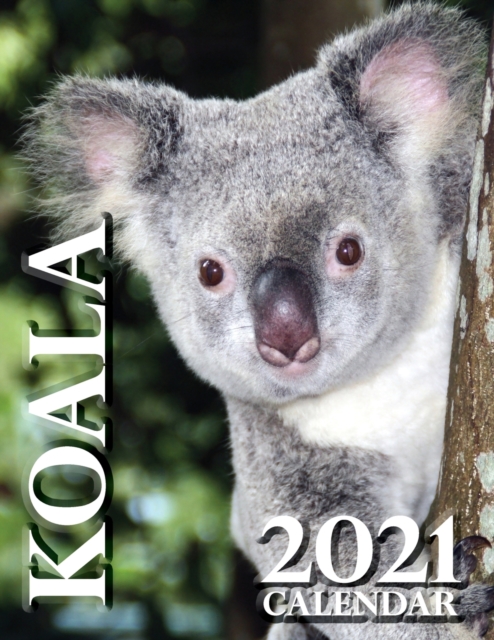 Koala 2021 Calendar, Paperback / softback Book