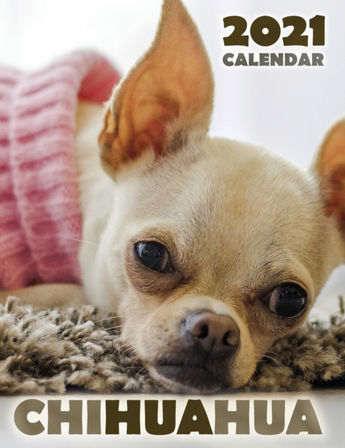 Chihuahua 2021 Calendar, Paperback / softback Book