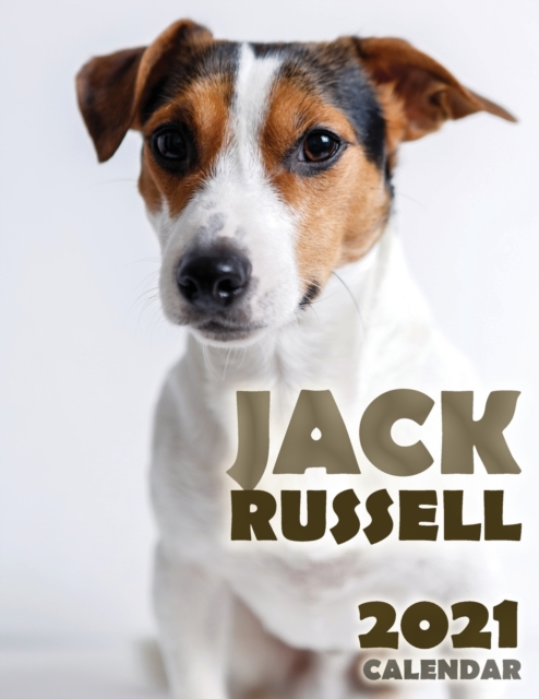 Jack Russell 2021 Calendar, Paperback / softback Book