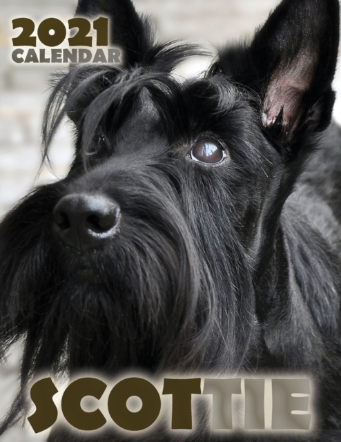 Scottie 2021 Calendar, Paperback / softback Book