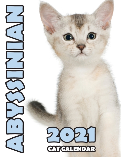 Abyssinian 2021 Cat Calendar, Paperback / softback Book