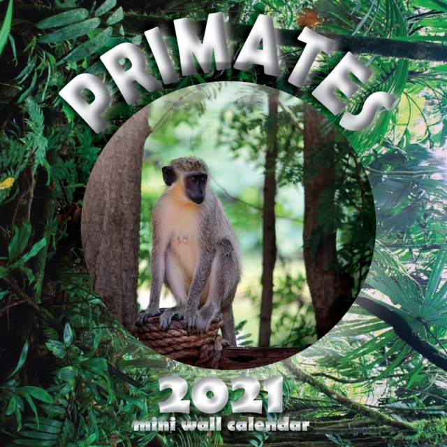 Primates 2021 Mini Wall Calendar, Paperback / softback Book