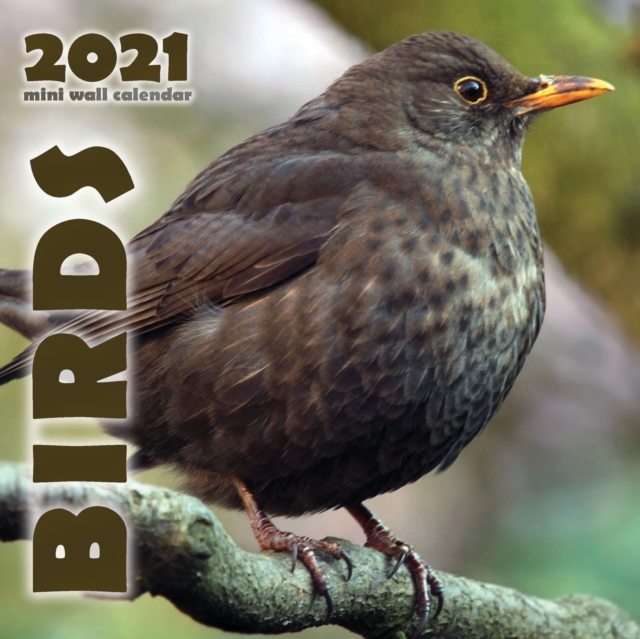 Birds 2021 Mini Wall Calendar, Paperback / softback Book