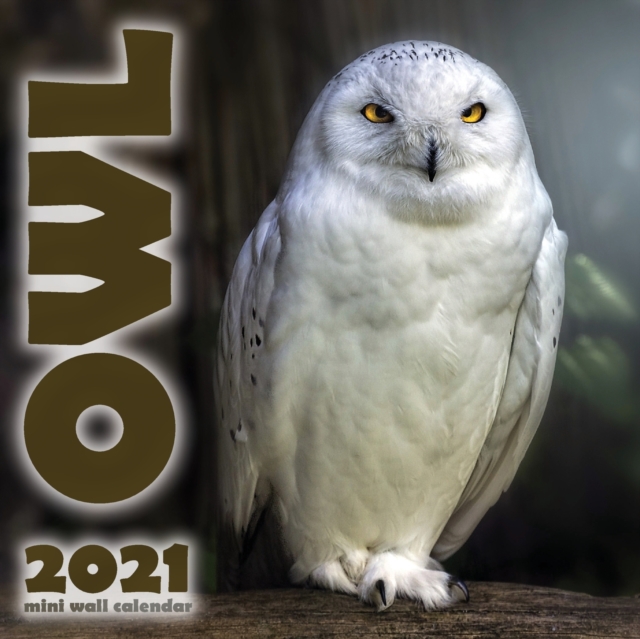 The Owl 2021 Mini Wall Calendar, Paperback / softback Book
