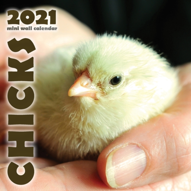 Chicks 2021 Mini Wall Calendar, Paperback / softback Book