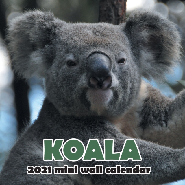 Koala 2021 Mini Wall Calendar, Paperback / softback Book