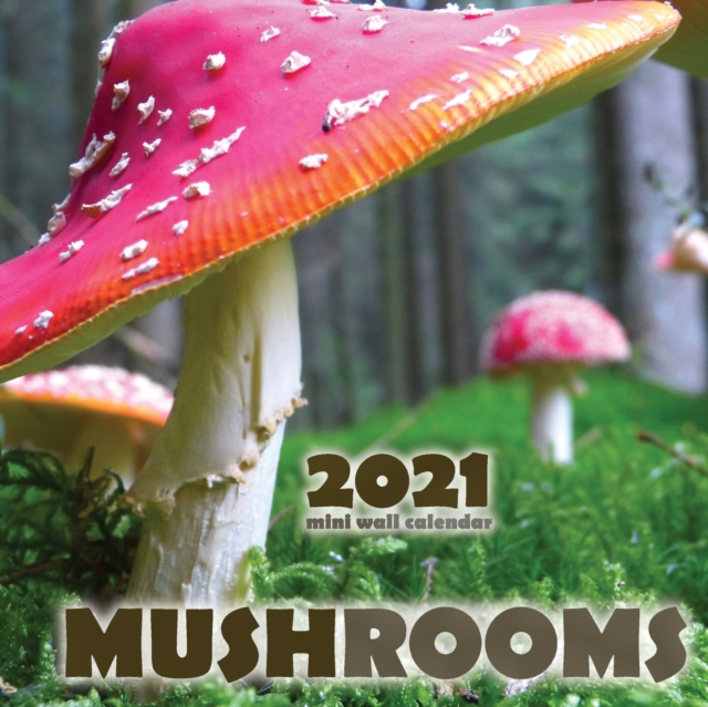 Mushrooms 2021 Mini Wall Calendar, Paperback / softback Book