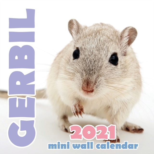 Gerbil 2021 Mini Wall Calendar, Paperback / softback Book