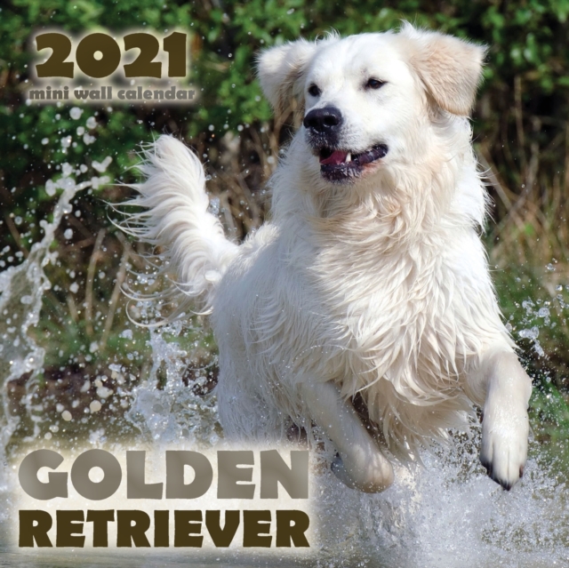 Golden Retriever 2021 Mini Wall Calendar, Paperback / softback Book