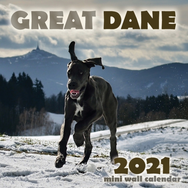 Great Dane 2021 Mini Wall Calendar, Paperback / softback Book