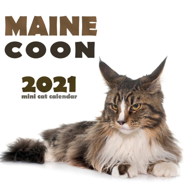Maine Coon 2021 Mini Cat Calendar, Paperback / softback Book