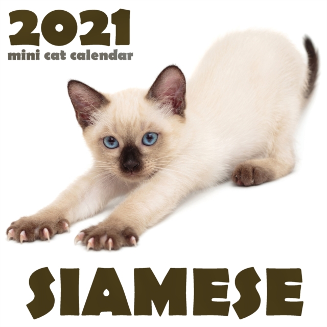 Siamese 2021 Mini Cat Calendar, Paperback / softback Book