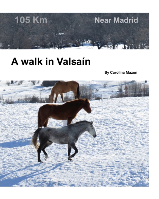 A walk in Valsa?n : Near Madrid, Paperback / softback Book