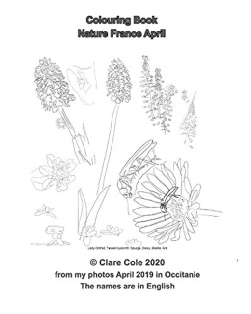 Coloring-in Book France Nature April : Flora & Fauna from my Photos in Occitanie 2019 April, Paperback / softback Book