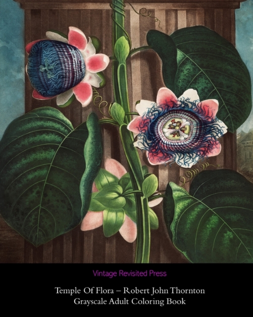 Temple Of Flora - Robert John Thornton : Grayscale Adult Coloring Book, Paperback / softback Book