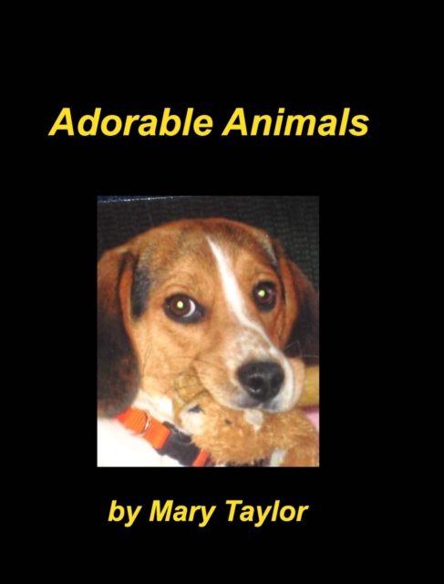 Adorable Animals : Beagles Cats Birds Dalmatains Animal Lovers, Hardback Book
