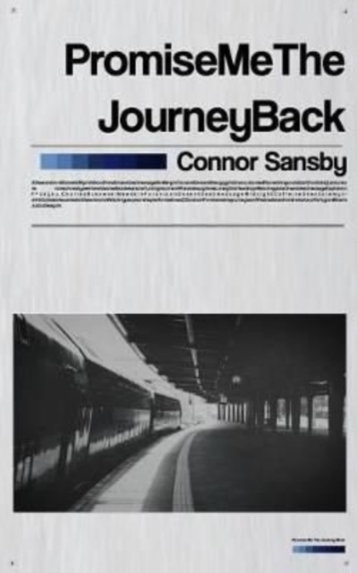 Promise Me The Journey Back, Paperback / softback Book