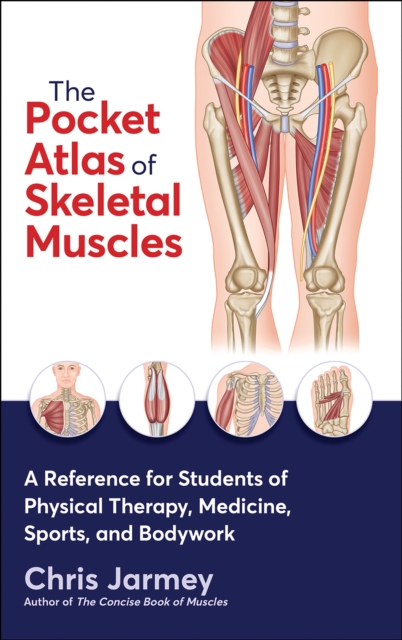The Pocket Atlas of Skeletal Muscles : A Reference for Students of Physical Therapy, Medicine, Sports, and Bodywork, Paperback / softback Book