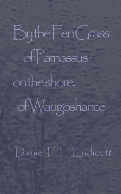 By the Fen Grass of Parnassus on the shore of Waugoshance, Paperback / softback Book