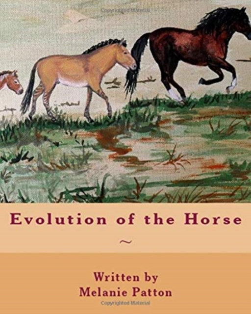 Evolution of the Horse, Paperback / softback Book