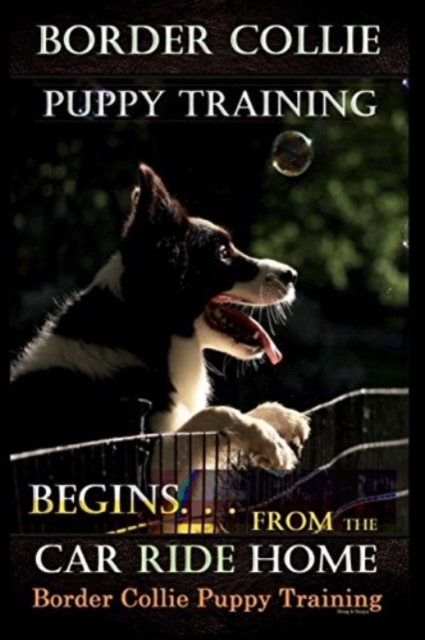 Border Collie Puppy Training Begins. . . From the Car Ride Home : Border Collie Puppy Training, Paperback / softback Book