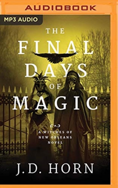 FINAL DAYS OF MAGIC THE, CD-Audio Book
