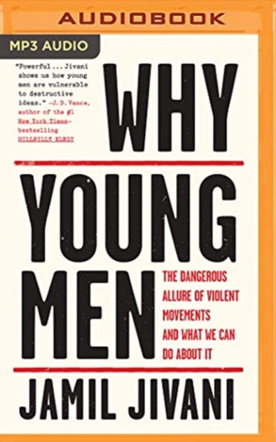 WHY YOUNG MEN, CD-Audio Book
