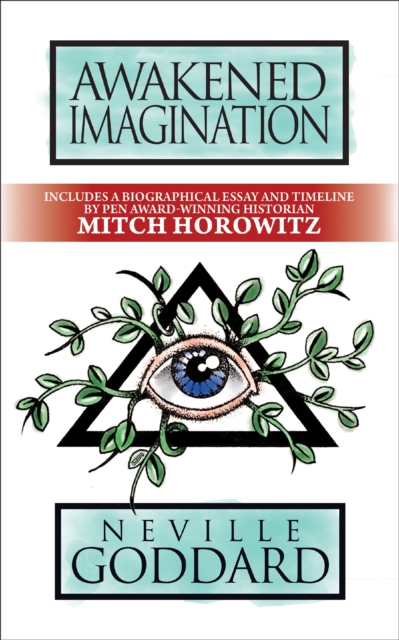 Awakened Imagination : Deluxe Edition, Paperback / softback Book