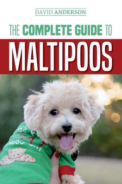 The Complete Guide to Maltipoos : Everything you need to know before getting your Maltipoo dog, Paperback / softback Book