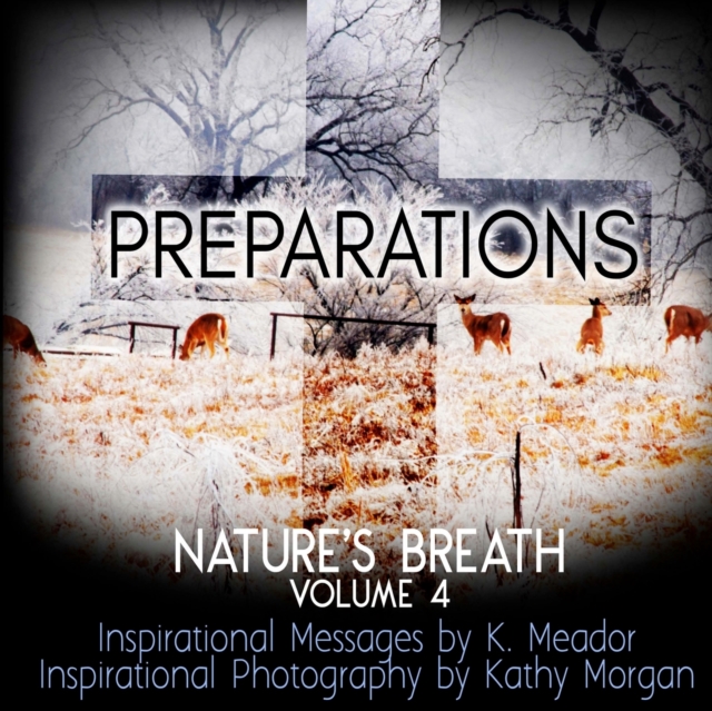 Nature's Breath : Preparations: Volume 4, Paperback / softback Book