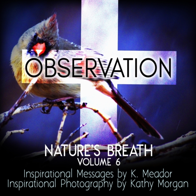 Nature's Breath : Observation: Volume 6, Paperback / softback Book