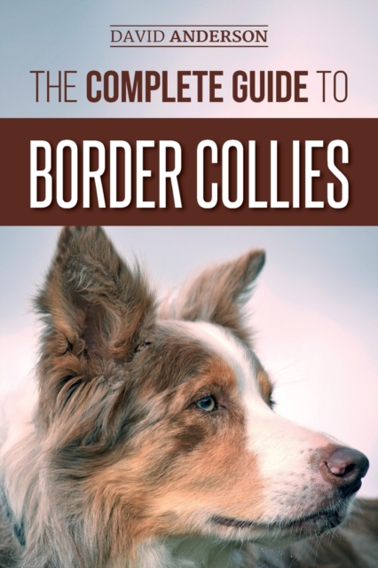 The Complete Guide to Border Collies : Training, teaching, feeding, raising, and loving your new Border Collie puppy, Paperback / softback Book