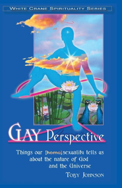 Gay Perspective : Things our [homo]sexuality tells us about the nature of God and the Universe, Paperback / softback Book