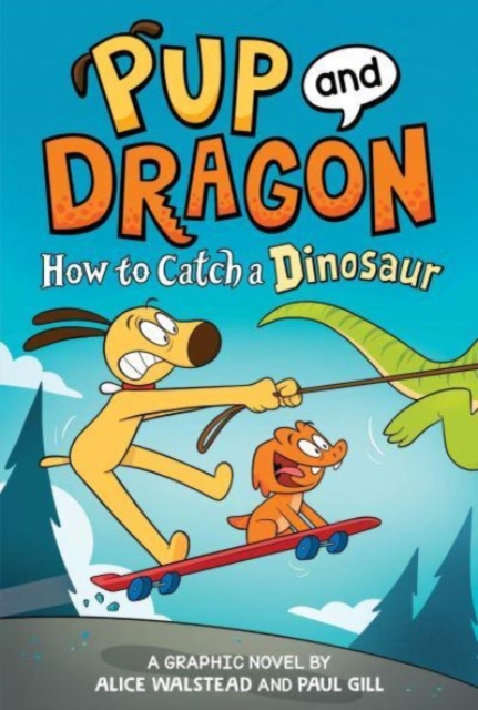 How to Catch Graphic Novels: How to Catch a Dinosaur, Hardback Book