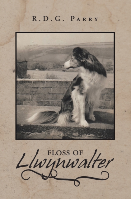 Floss of Llwynwalter, EPUB eBook