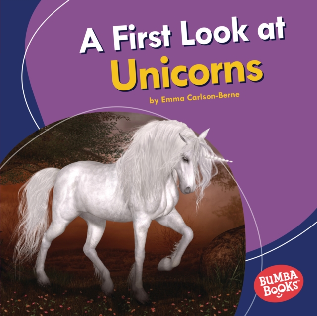 A First Look at Unicorns, EPUB eBook