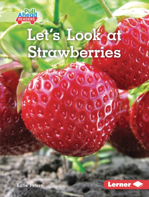 Let's Look at Strawberries, EPUB eBook