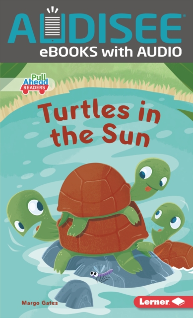 Turtles in the Sun, EPUB eBook