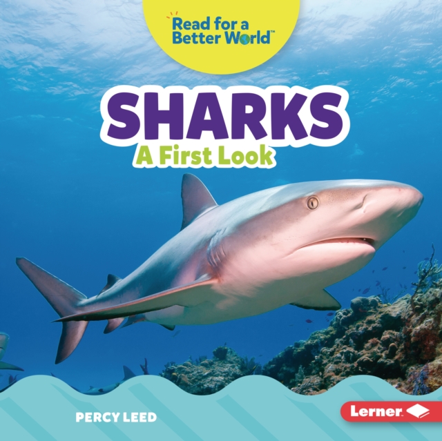 Sharks : A First Look, PDF eBook