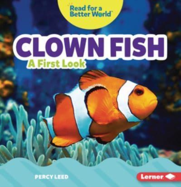 Clown Fish : A First Look, Paperback / softback Book