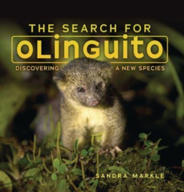 The Search for Olinguito : Discovering a New Species, Paperback / softback Book