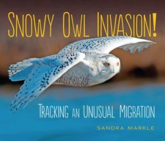 Snowy Owl Invasion! : Tracking an Unusual Migration, Paperback / softback Book
