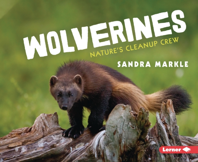 Wolverines : Nature's Cleanup Crew, EPUB eBook