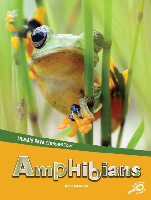 Animals Have Classes Too! Amphibians, EPUB eBook